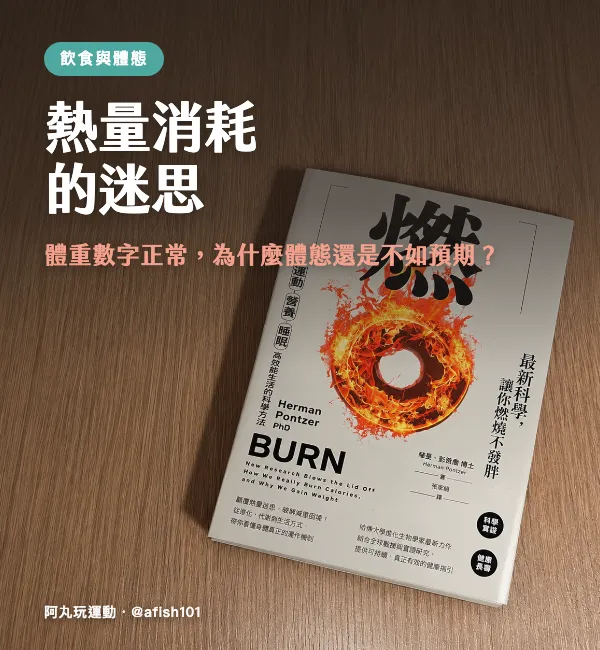 《燃》與熱量消耗迷思文章標題的木紋桌面封面