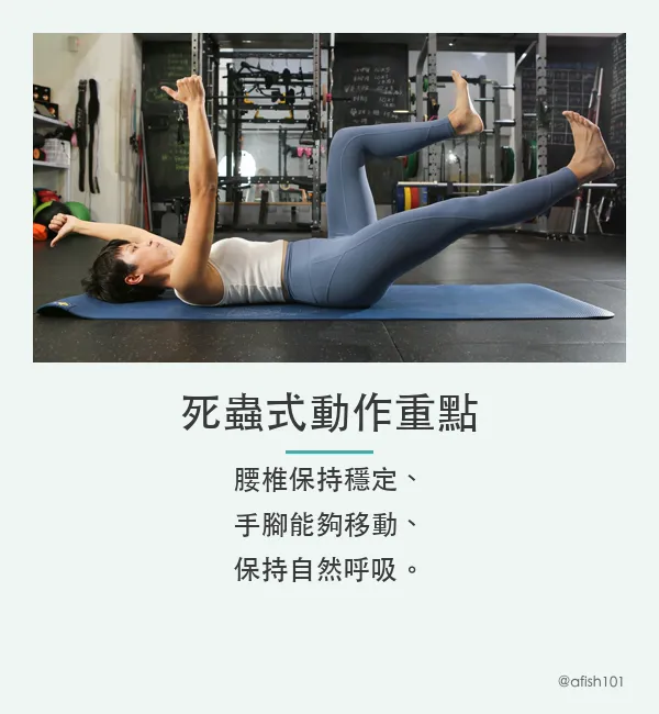 死蟲式動作重點：腰椎保持穩定、手腳能夠移動、保持自然呼吸