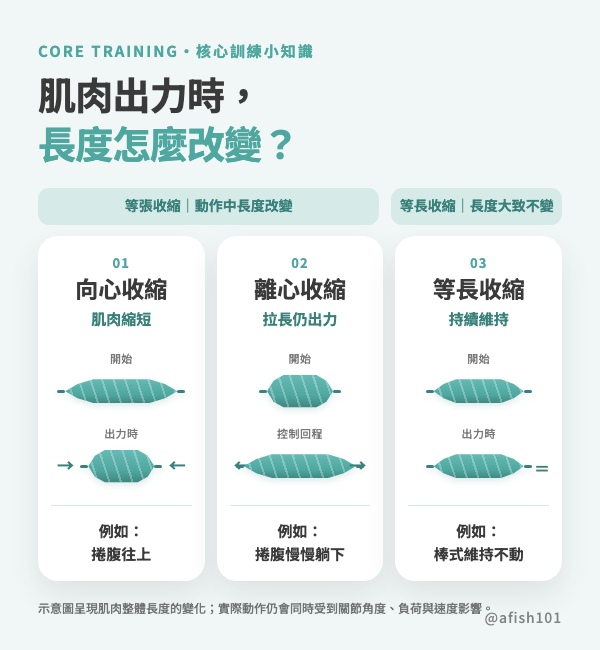 以肌肉形狀呈現向心、離心、等長與等張收縮的分類示意圖